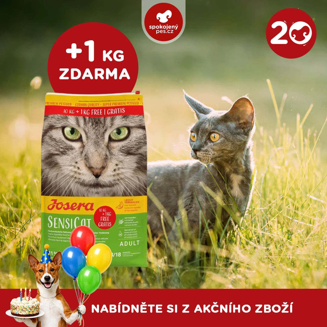 akční březen_27_CZ.webp